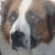Terri Troupe's profile image
