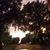 Kelli Crawford's profile image