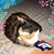 Charley Shook's profile image