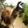 Romy S's profile image