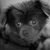Irene Sanchez's profile image