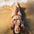 Kristina Love's profile image