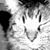 Ale Echandi's profile image