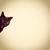Gayane Safaryan's profile image