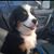 Robin Sue Appel Milkman's profile image