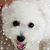Beverly Maricel's profile image