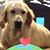 Ellen Kiefer's profile image