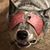 Michelle Maere Levy's profile image