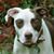 Denise Iwanejko Bratt's profile image