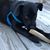 Angie Williams's profile image