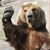 Benjamin Lewis's profile image