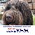 Eva Gellert's profile image