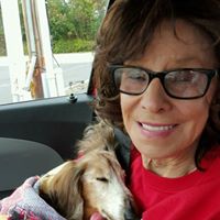 Susan Walls's profile image