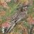 David Graham's profile image