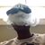 Mike Young's profile image