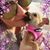 Kristi Brinkmann's profile image
