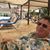 Scott Simons's profile image