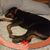 Patricia Turner's profile image