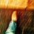 Richard Pawlik's profile image