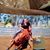 Debbie Jacobsen's profile image