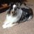 Teddy Wright's profile image