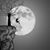 Gayle J Libb's profile image
