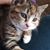Marie Bresley's profile image