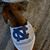 Robbie Davis Carleton's profile image
