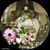 Mickie Porr's profile image