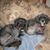 Judie Johnston's profile image