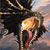 Steven Keith Worsham's profile image