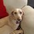Kathleen Carango's profile image
