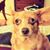 Tawny Best's profile image