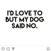Karma Willow's profile image