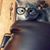 Marc Jamie Beyersdorf's profile image