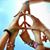 Linda Miller Barnes's profile image