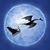 Dana Luce's profile image