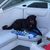 Elizabeth Norman Holley's profile image