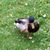 Heather Campbell-Adams's profile image