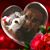 Christine Boucher-Davis's profile image