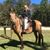 Linda Hinson's profile image