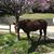 Karie Thede Brown's profile image