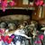 Sandra Chencharick's profile image