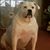 Kelly Brodoski's profile image
