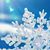 Kim Melson Haley's profile image