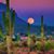 Teri Watkins's profile image