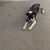 Robin Rasco's profile image