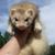 Patty Saville's profile image