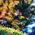 Karla Miller McDougal's profile image