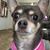 Christine Benson's profile image